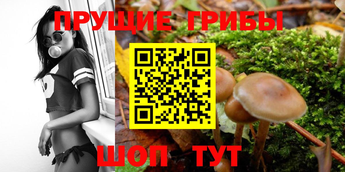 Златоуст  Галлюциногенные грибы ЛСД  Вход с VPN 
